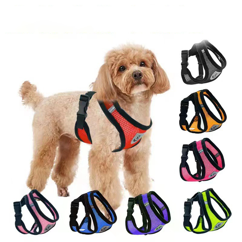 Hot summer small dog pet chest - Mini Trampoline Spring 评论和价格