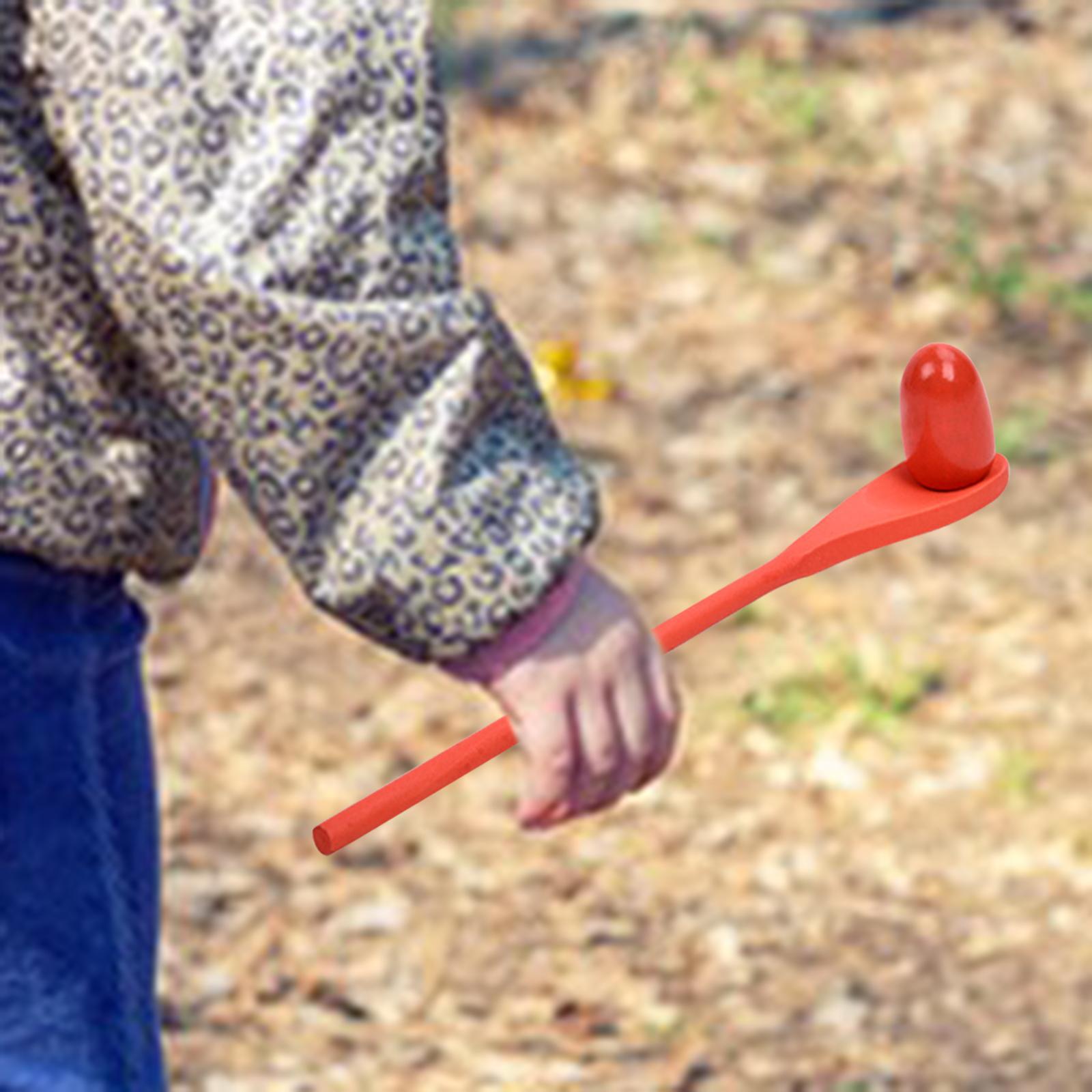 6 Pieces Egg Spoon Race Game H - Kids Outdoor Yard Toys 评论和价格